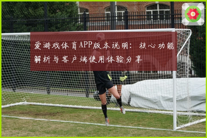 爱游戏体育APP版本说明：核心功能解析与客户端使用体验分享