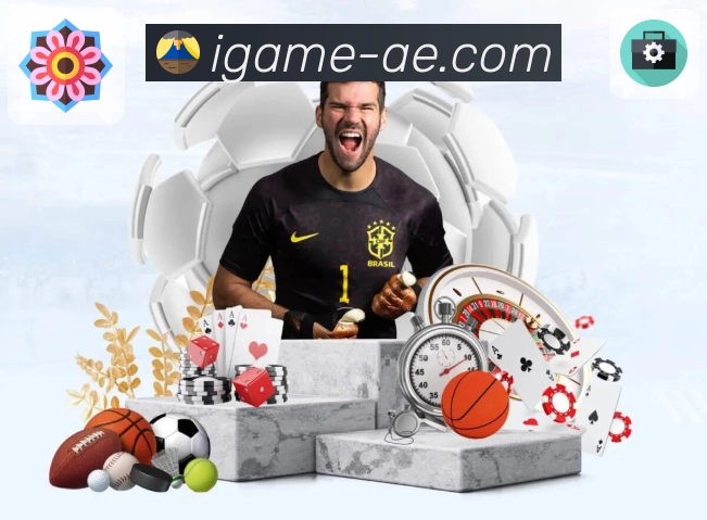 爱游戏平台展示图